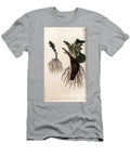 Fibrous Roots of Common Senecon and Large Plantain or Plantain of Birds Sydenham Teast Edwards T-Shirt