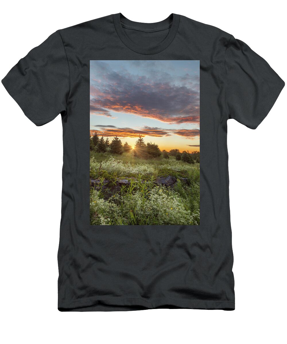 Final Sunlight Over Wildflowers White Mountain Images T-Shirt