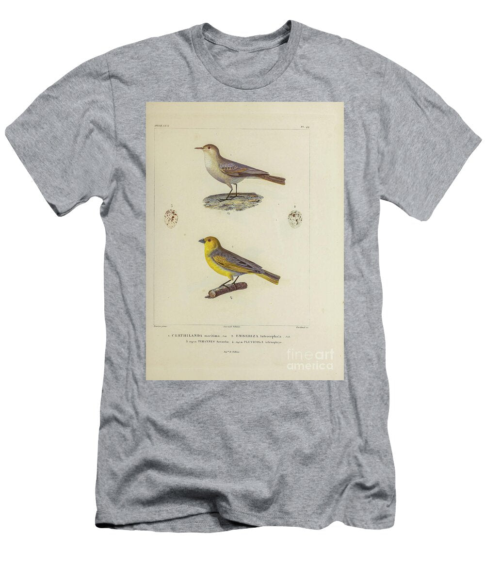 Finch and a Miner 1835 U1 Historic Illustrations T-Shirt