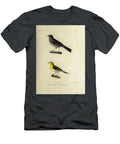 Finch and Tanager 1835 U1 Historic Illustrations T-Shirt