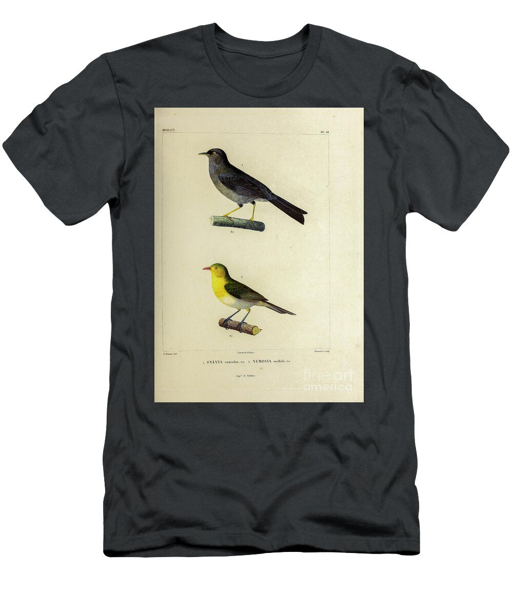 Finch and Tanager 1835 U1 Historic Illustrations T-Shirt