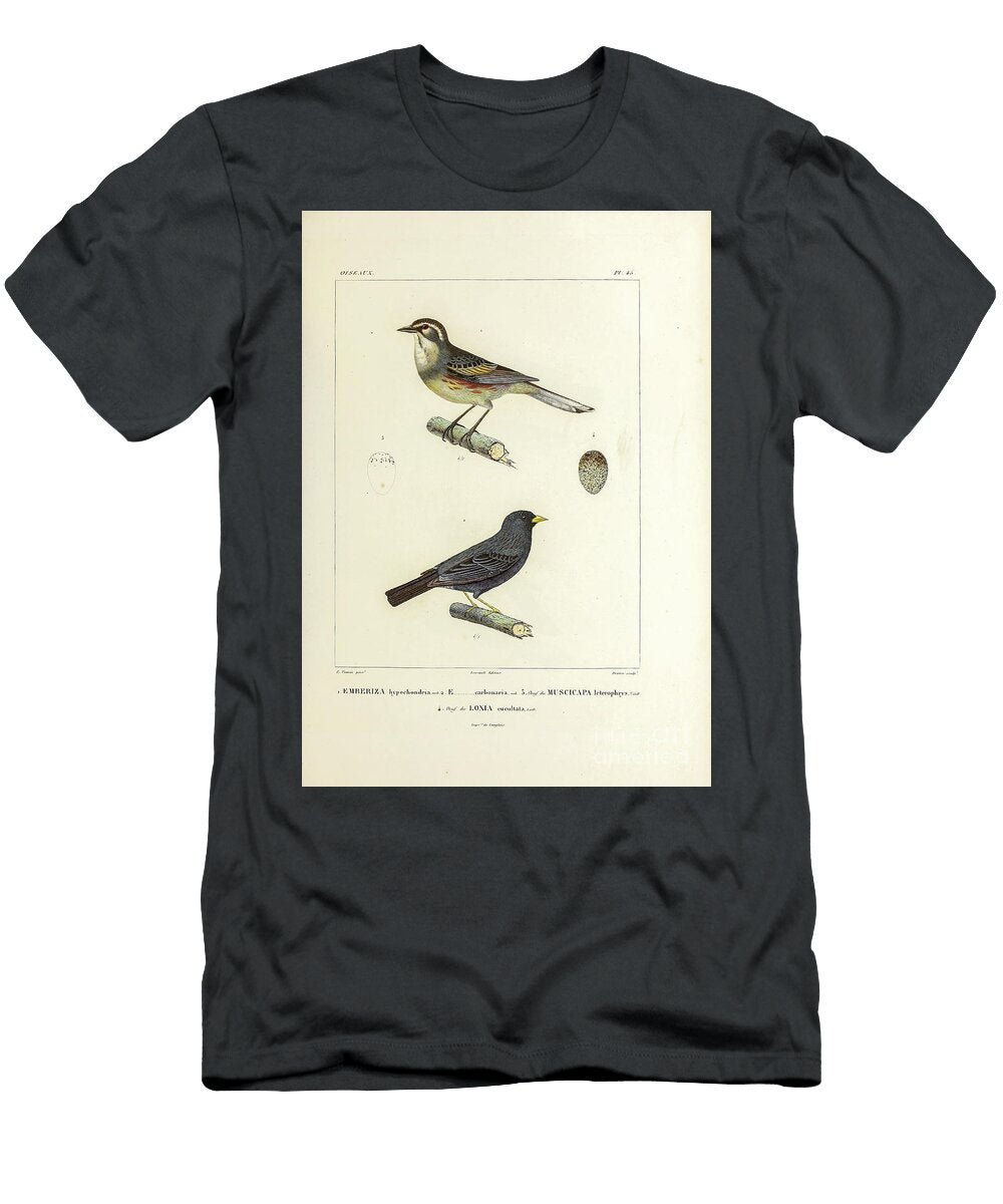 Finch Birds of South America 1835 U1 Historic Illustrations T-Shirt