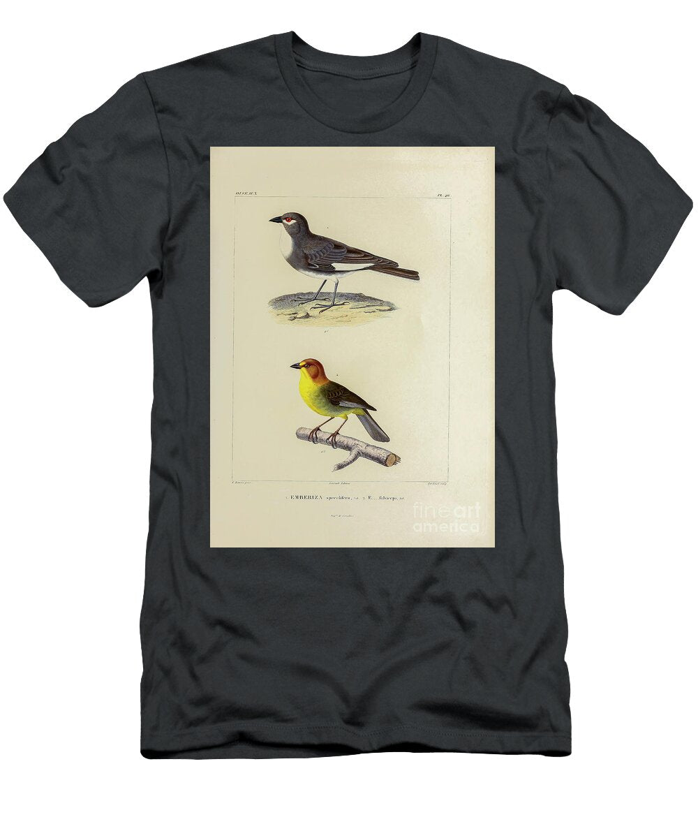 Finches of South America 1835 U1 Historic Illustrations T-Shirt