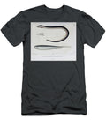 Fish of South America B1 Historic Illustrations T-Shirt