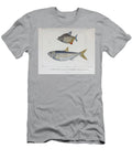 Fish of South America B3 Historic Illustrations T-Shirt