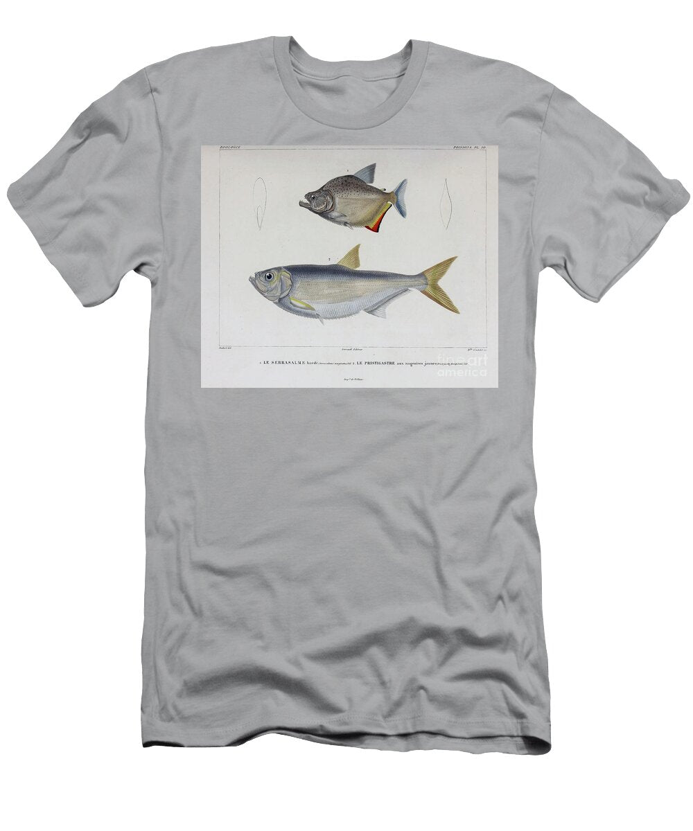 Fish of South America B3 Historic Illustrations T-Shirt