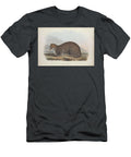 Fishing Cat Prionailurus Viverrinus Q1 Historic Illustrations T-Shirt