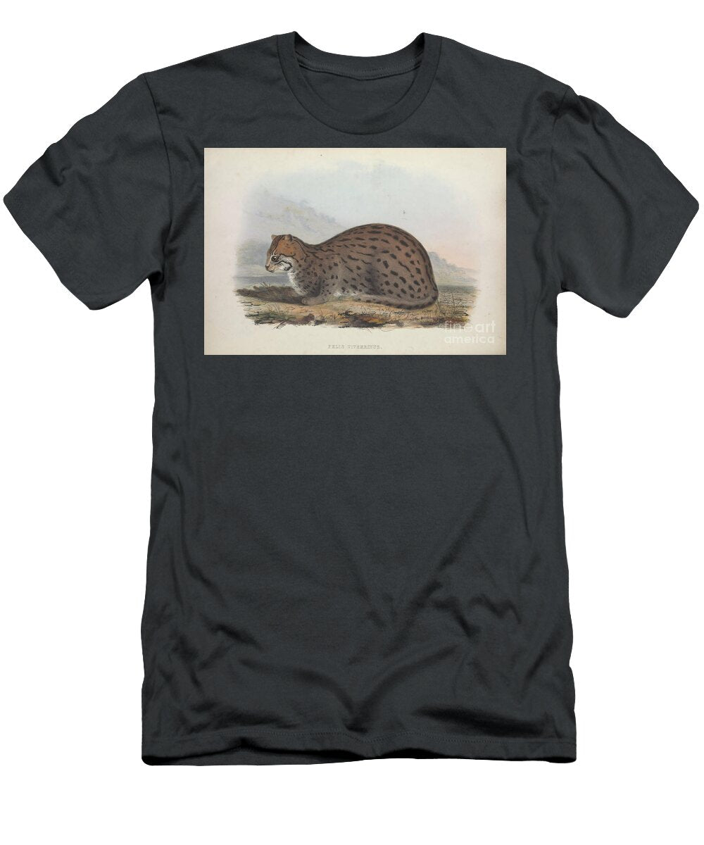 Fishing Cat Prionailurus Viverrinus Q1 Historic Illustrations T-Shirt