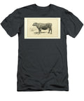 Flemish Cow Q1 Historic Illustrations T-Shirt
