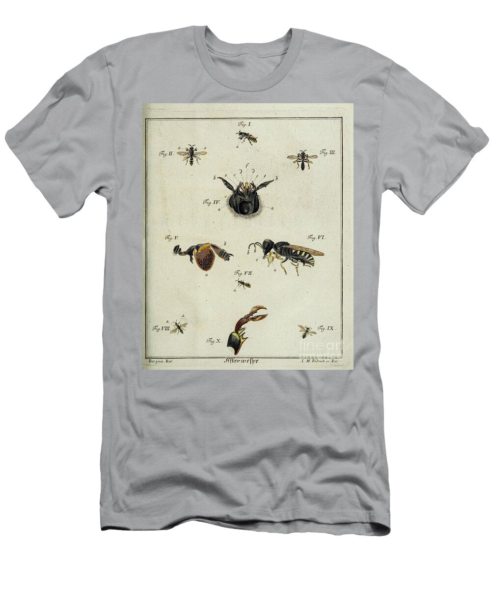 Flies and Mosquito Entomology Study R1 Historic Illustrations T-Shirt