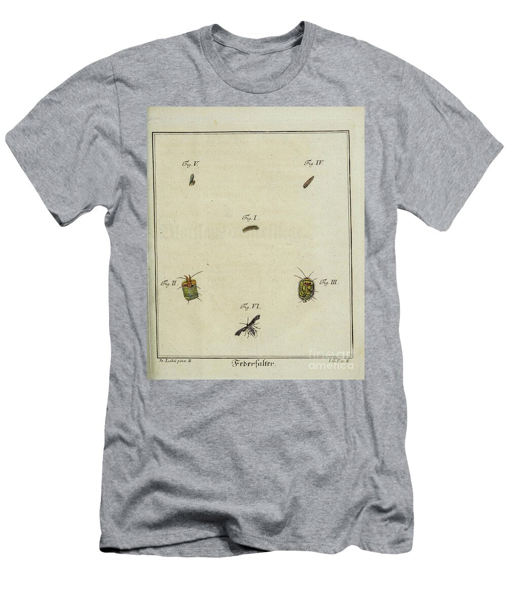 Flies and Mosquito Entomology Study R2 Historic Illustrations T-Shirt