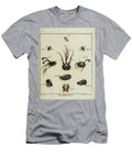 Flies and Mosquito Entomology Study R3 Historic Illustrations T-Shirt