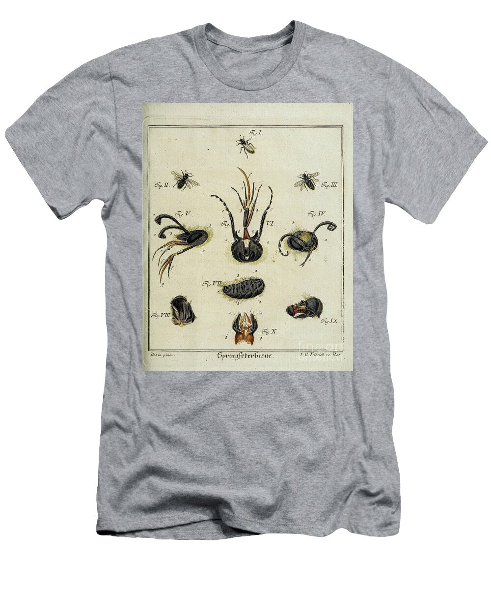 Flies and Mosquito Entomology Study R3 Historic Illustrations T-Shirt