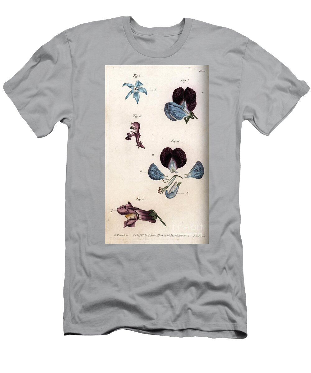 Flowering of Officinale Borage and Pea Leguminous Sydenham Teast Edwards T-Shirt