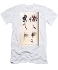 Flowers of Aconite Ancholia Galanthus Hellebore and Weeping Willow with Details of Pistils and Etamines Sydenham Teast Edwards T-Shirt