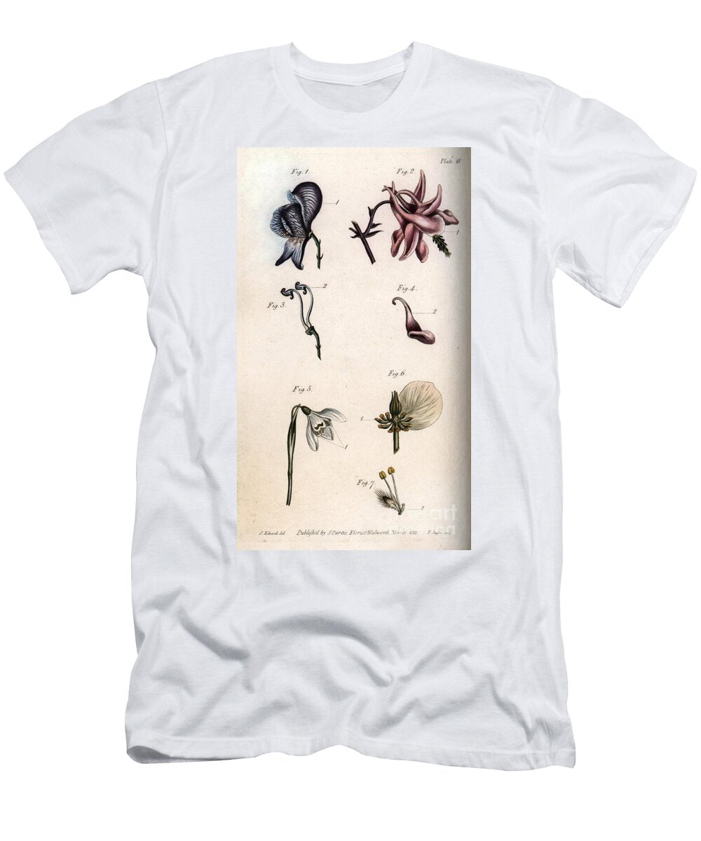Flowers of Aconite Ancholia Galanthus Hellebore and Weeping Willow with Details of Pistils and Etamines Sydenham Teast Edwards T-Shirt