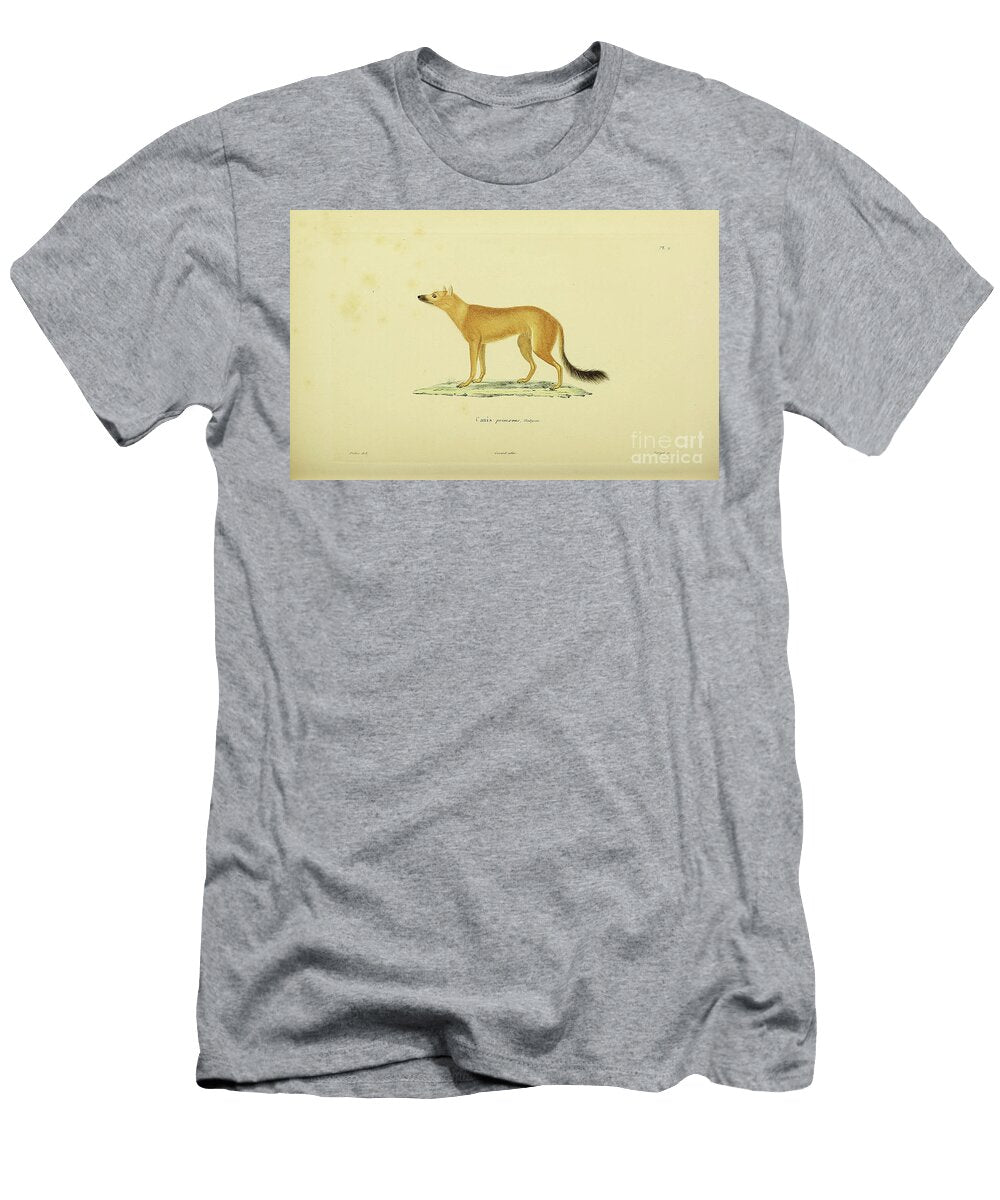 Fox From Souvenirs From a Voyage to India 1843 R1 Historic Illustrations T-Shirt