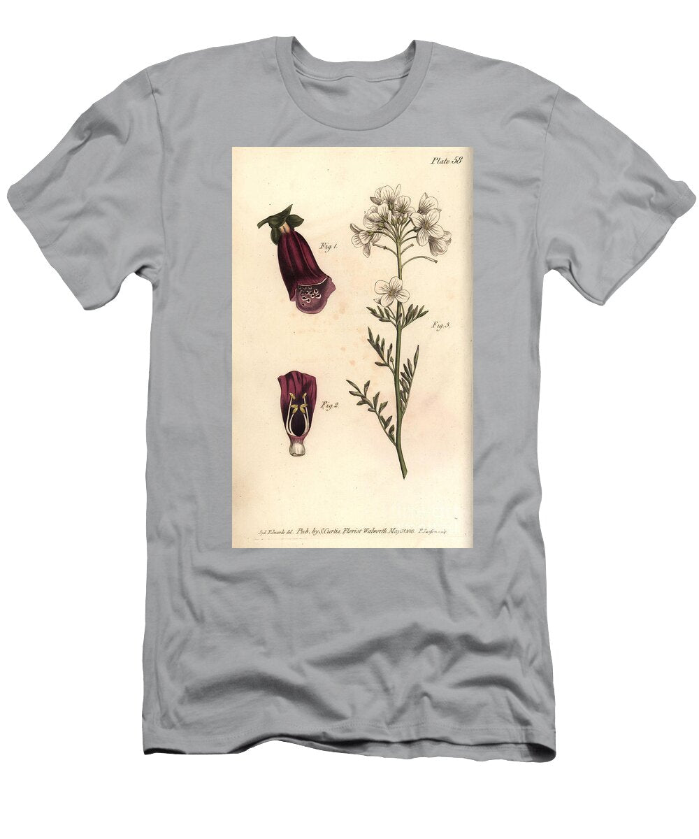 Foxglove Digitalis Purpurea Didynamia 12 and Ladys Smock Cardamine Pratensis Tetradynamia 3 Sydenham Teast Edwards T-Shirt