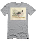 Franklins Rosy Gull Larus Franklinii Historic Illustrations T-Shirt