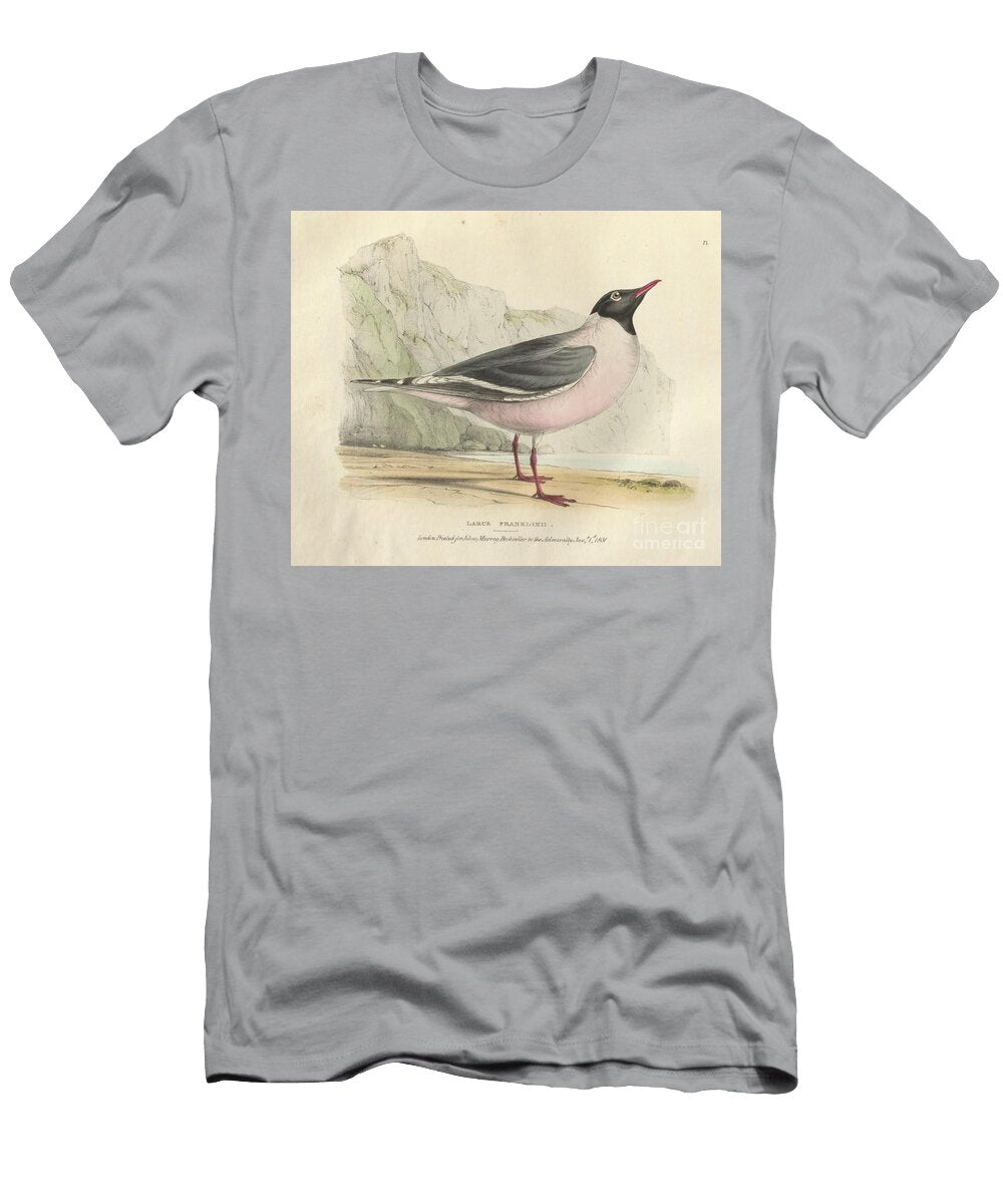 Franklins Rosy Gull Larus Franklinii Historic Illustrations T-Shirt