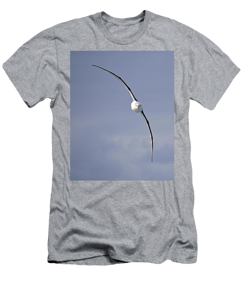 Free to Follow Tony Beck T-Shirt