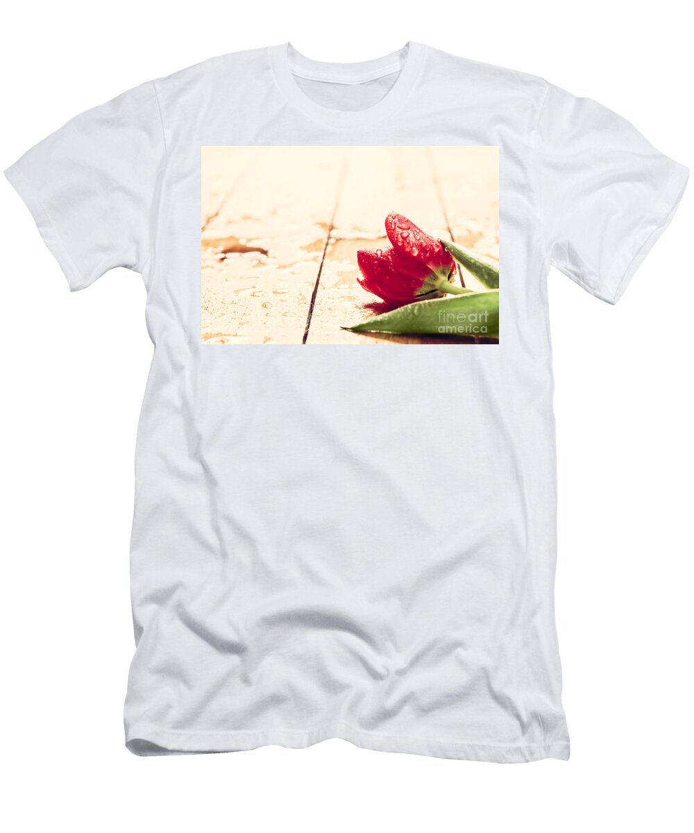 Fresh Red Tulip Flower on Wood Michal Bednarek T-Shirt