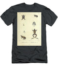 Frogs of South America B1 Historic Illustrations T-Shirt