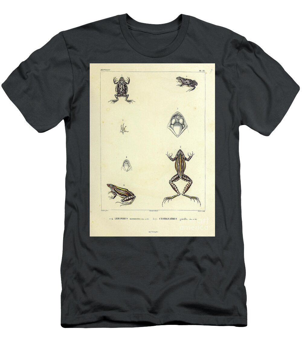 Frogs of South America B1 Historic Illustrations T-Shirt