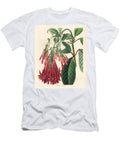 Fuchsia From Bolivia Corymb Flowered Fuchsia Fuchsia Corymbiflora European School T-Shirt