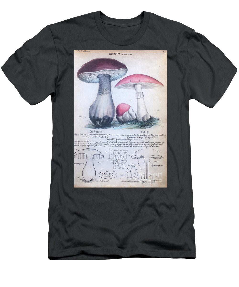 Funginee Porcini Mushroom and Toadstool M1 Humorous Quotes T-Shirt