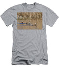 Gadwall Male Courting Two Females Magor Marsh Nature Nick Upton Natureplcom T-Shirt