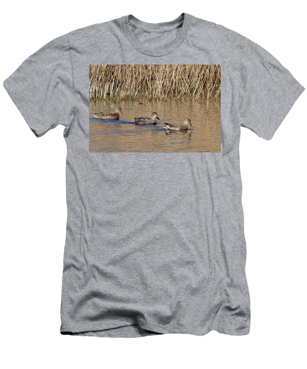 Gadwall Male Courting Two Females Magor Marsh Nature Nick Upton Natureplcom T-Shirt
