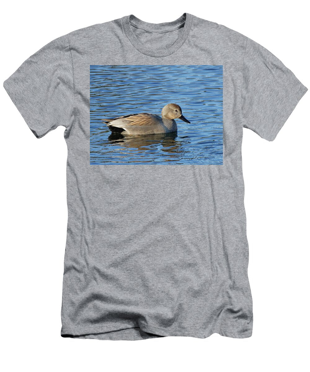 Gadwall Male Swimming Magor Marsh Nature Reserve Gwent Nick Upton Natureplcom T-Shirt