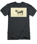 Galician Ox Q1 Historic Illustrations T-Shirt