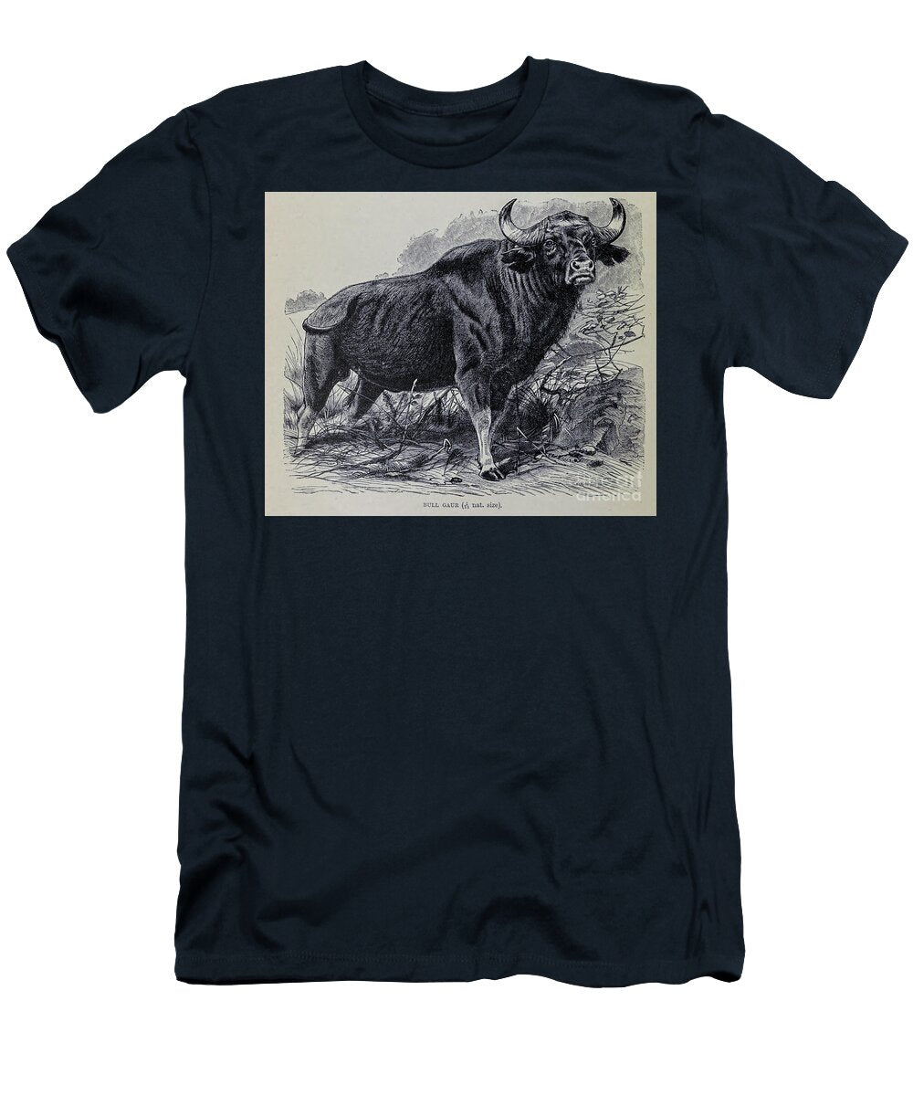 Gaur Bos Gaurus Bull M3 Historic Illustrations T-Shirt