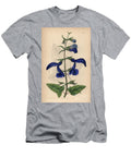 Gentian Sage Large Blue Mexican Sage Salvia Patens European School T-Shirt