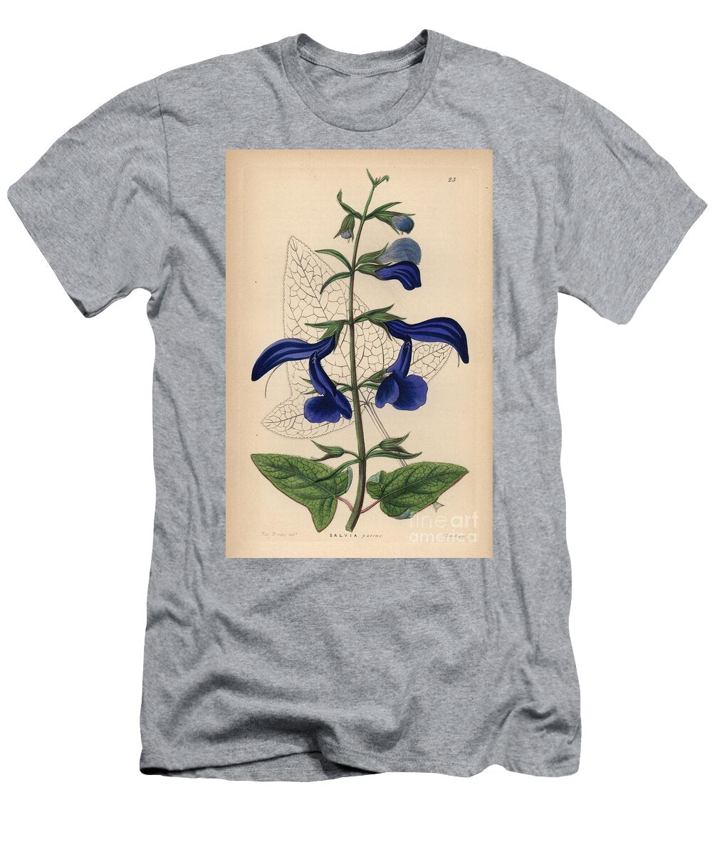 Gentian Sage Large Blue Mexican Sage Salvia Patens European School T-Shirt