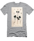 Germination of Radish Seeds Common Wheat and Common Barley Sydenham Teast Edwards T-Shirt
