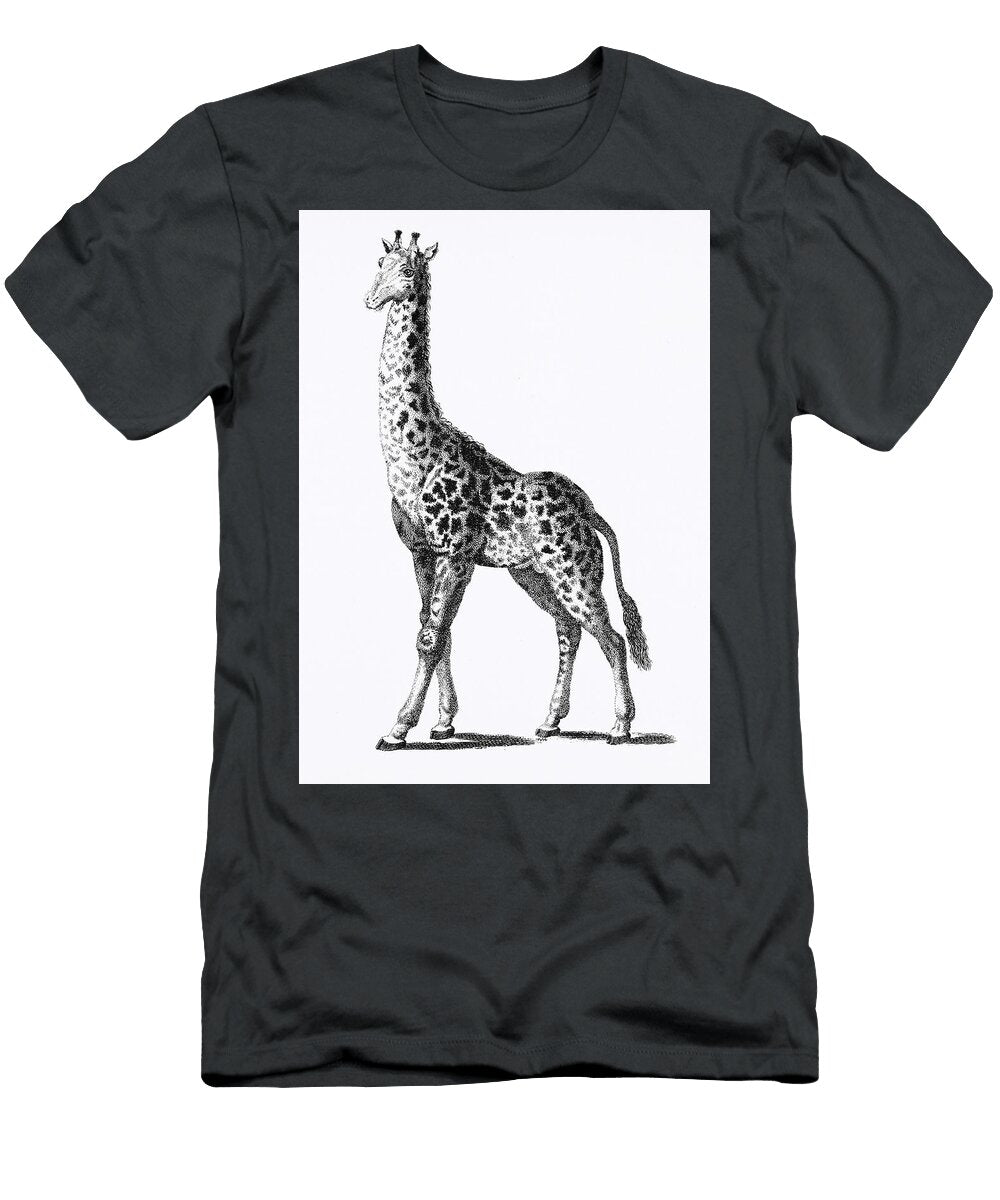 Giraffe From Zoological Lectures Delivered At the Royal Institution in the Years 1806 7 Illustrated Les Classics T-Shirt