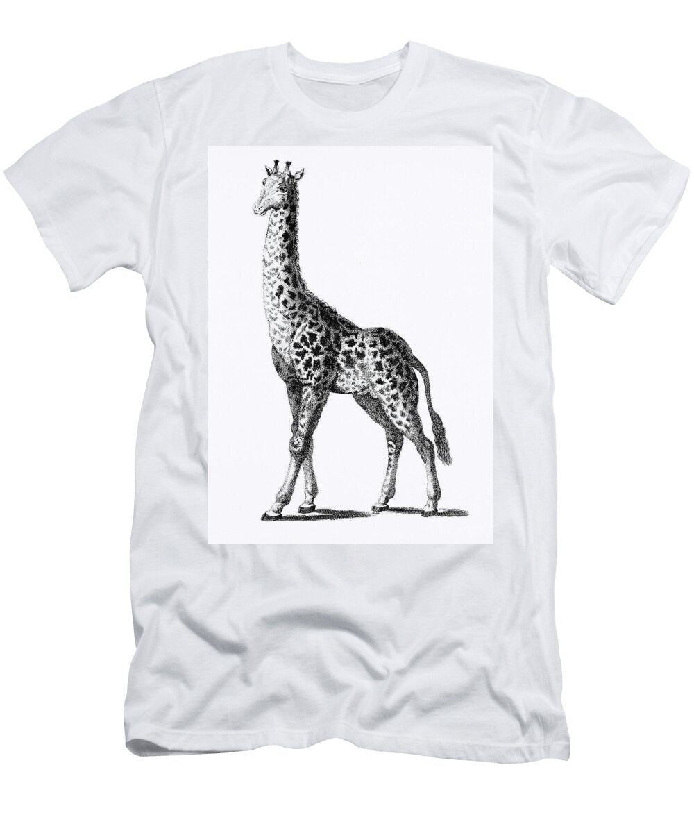 Giraffe From Zoological Lectures Delivered At the Royal Institution in the Years 18067 Illustrated B Vincent Luxe Gallery T-Shirt