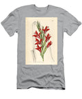 Glaieul Painted Lady Gladiolus Gladiolus Splendens Plants Anisanth Anisanthus Plantii European School T-Shirt