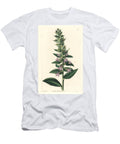 Glandular Lobelia Lobelia Glandulosa European School T-Shirt