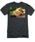 Glowing Cantharellus in Morning Sun Douglas Barnett T-Shirt