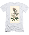 Goniolimon Eximium Large Pink Sea Lavender Statice Eximia European School T-Shirt