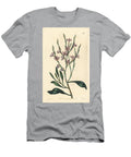 Grand Statice Limoniastrum Monopetalum Naked Monopetalous Sea Lavender Statice Monopetala Var European School T-Shirt