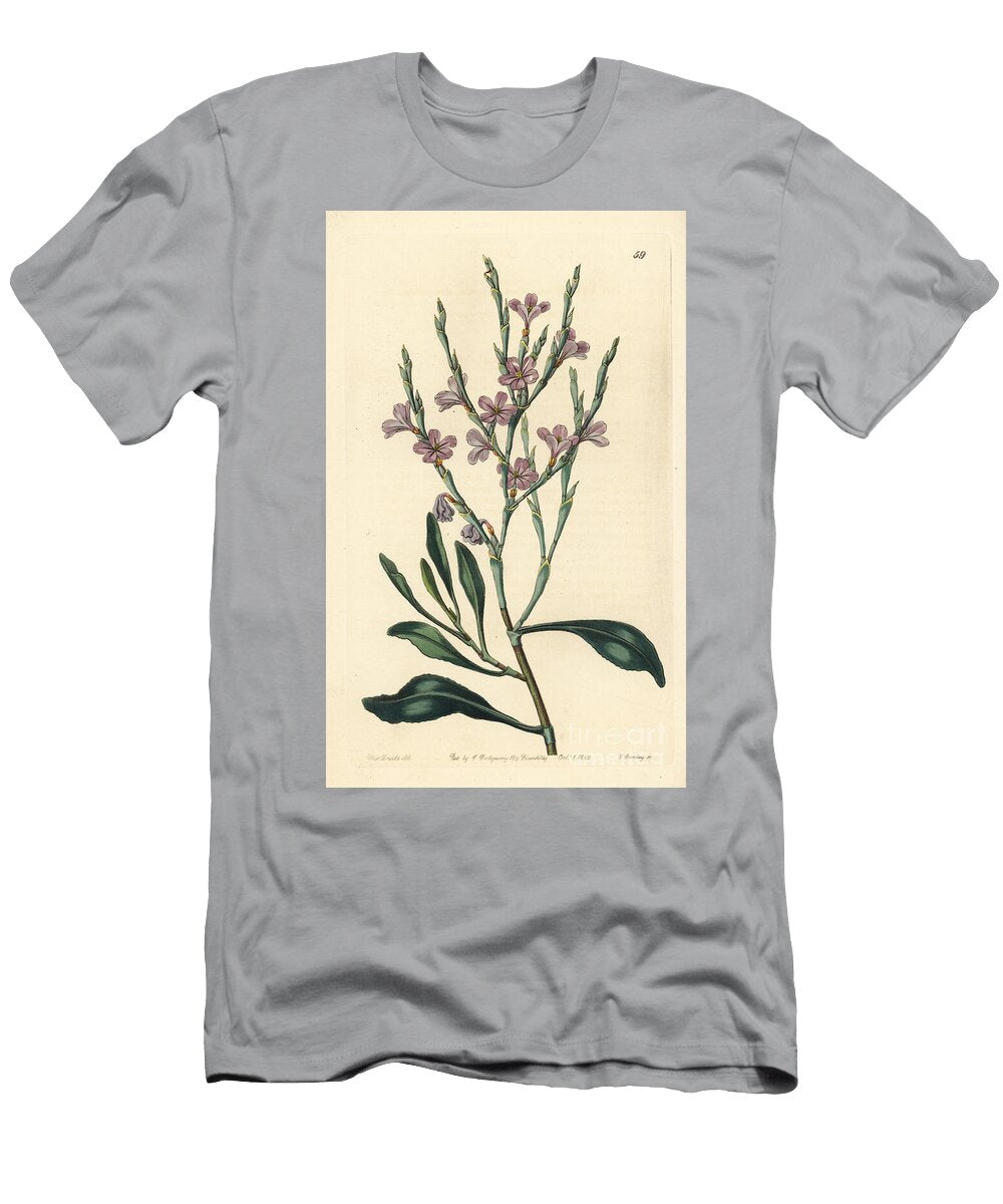 Grand Statice Limoniastrum Monopetalum Naked Monopetalous Sea Lavender Statice Monopetala Var European School T-Shirt