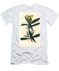 Grassgrass Tac Tac Hop Flowered Barleria Barleria Lupulina Sydenham Teast Edwards T-Shirt
