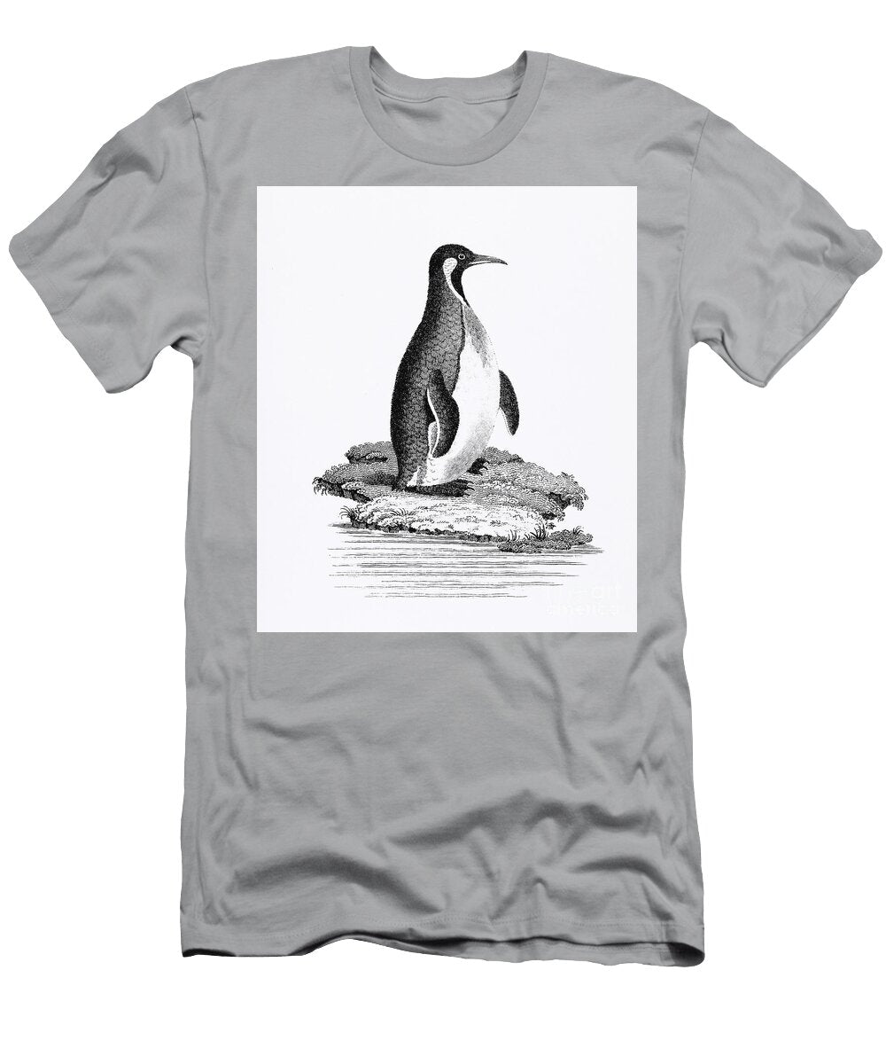 Great Awk and Patagonian Penguin From Zoological Lectures Delivered At the Royal Institution in the Johan Teyler T-Shirt