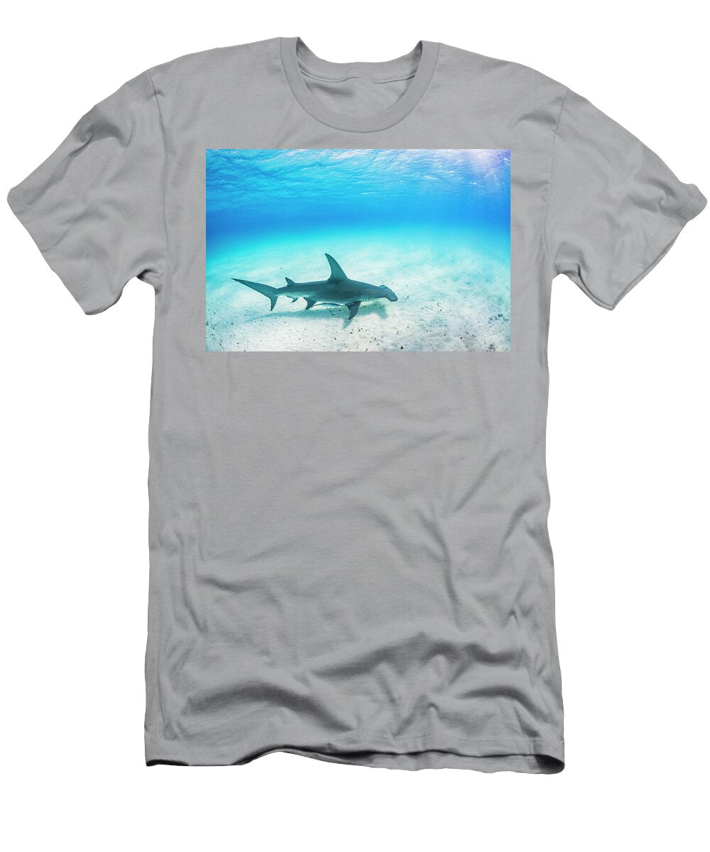 Great Hammerhead Shark Swimming Over a Sandy Seabed Shane Gross Natureplcom T-Shirt