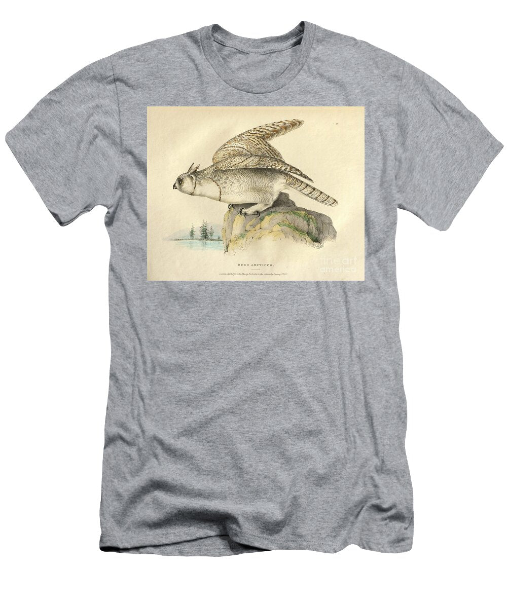 Great Horned Owl Bubo Arcticus O1 Historic Illustrations T-Shirt